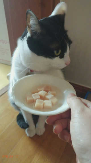 rang.yeoni님이 올린 리뷰 사진 2