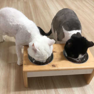 나나님이 올린 리뷰 사진 2