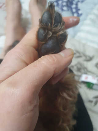 뽀기님이 올린 리뷰 사진 3