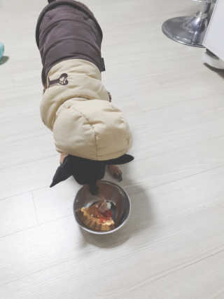 도도님이 올린 리뷰 사진 4