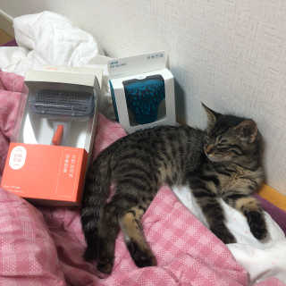 우리님이 올린 리뷰 사진 2