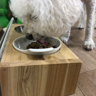 둥끼님이 올린 리뷰 사진 1