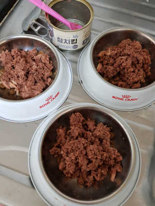 신예지님이 올린 리뷰 사진 2