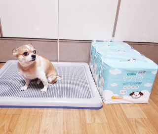 짬뽕이누나님이 올린 리뷰 사진 1