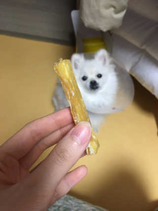 용수정님이 올린 리뷰 사진 3