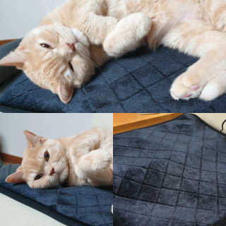 달님님이 올린 리뷰 사진 1