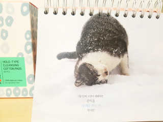 콩이님이 올린 리뷰 사진 2