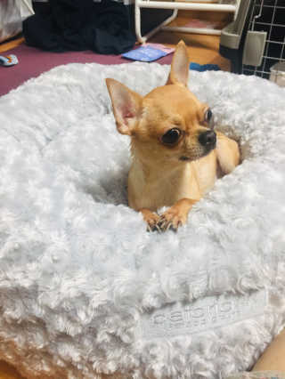 noname님이 올린 리뷰 사진 2