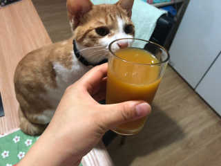 JihyeCheong님이 올린 리뷰 사진 2