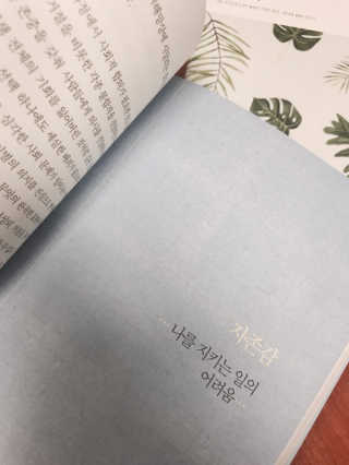 김정현님이 올린 리뷰 사진 2