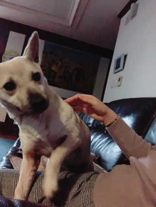 elizabeth님이 올린 리뷰 사진 2
