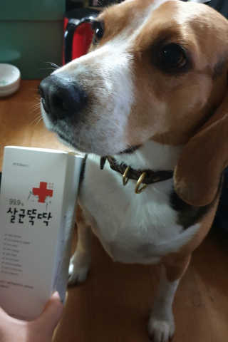 [펫토리아]살균뚝딱 강아지 고양이 살균소독제 탈취제 — 5점을 준 리뷰어가 2019년 10월 올린 사용 사진