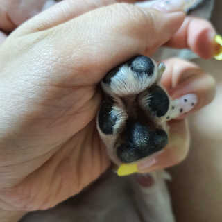 엣헴님이 올린 리뷰 사진 4