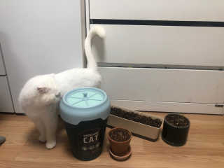 리쩡님이 올린 리뷰 사진 2