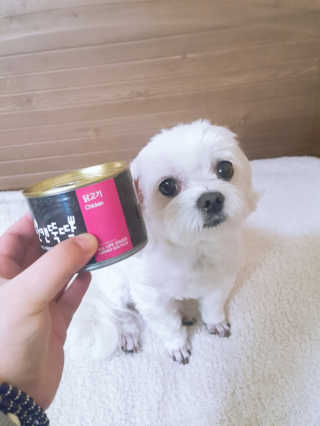 [펫토리아] BEST 한캔뚝딱 강아지 캔간식 — 3점을 준 리뷰어가 2019년 3월 올린 사용 사진