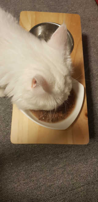 규니뀨냥반님이 올린 리뷰 사진 2