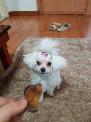 혜니니님이 올린 리뷰 사진 3