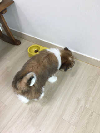 이예슬님이 올린 리뷰 사진 2