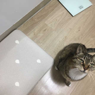 JihyunLilySon님이 올린 리뷰 사진 1