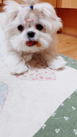 투빈맘님이 올린 리뷰 사진 1