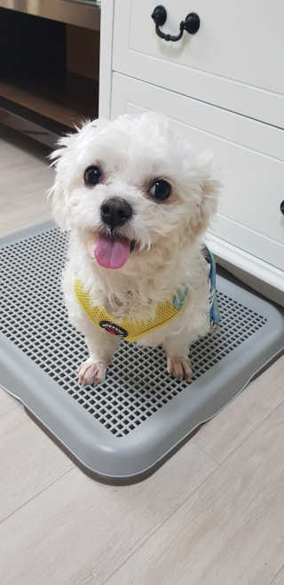 Thud님이 올린 리뷰 사진 3