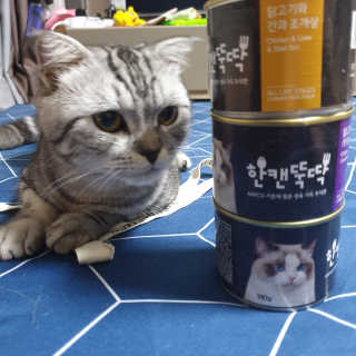 펫토리아 한캔뚝딱 best 강아지캔,고양이주식캔 — 5점을 준 리뷰어가 2019년 6월 올린 사용 사진