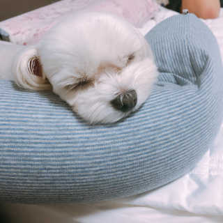 콩순이엄마님이 올린 리뷰 사진 4