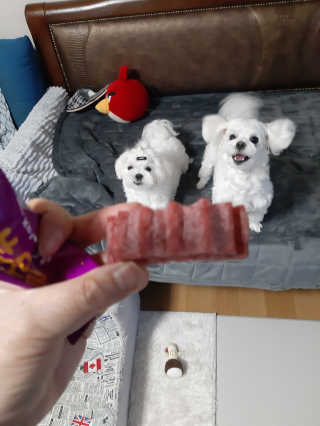 부산댁님이 올린 리뷰 사진 2