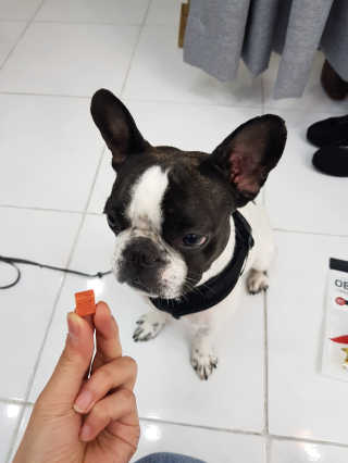 김민지님이 올린 리뷰 사진 3