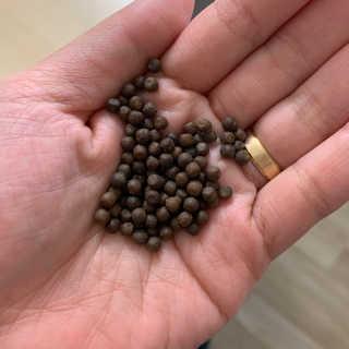 김하연님이 올린 리뷰 사진 3