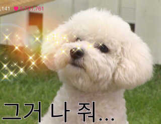 이젬마님이 올린 리뷰 사진 3