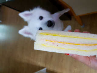 noname님이 올린 리뷰 사진 2