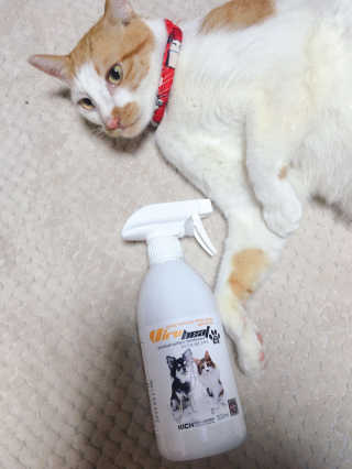 하나님이 올린 리뷰 사진 1