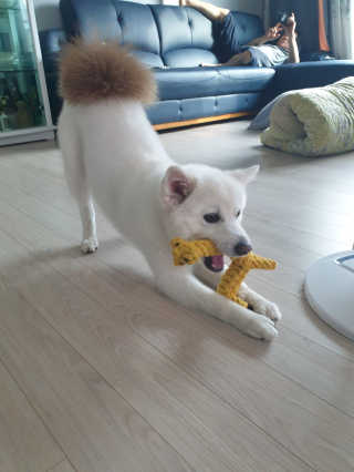 SooYeonKim님이 올린 리뷰 사진 3