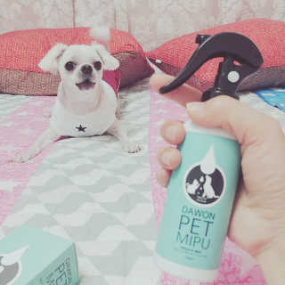 도담님이 올린 리뷰 사진 1