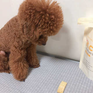 다요미님이 올린 리뷰 사진 2