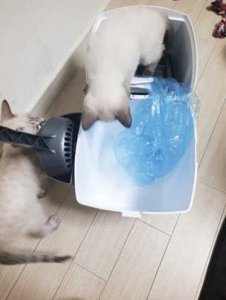 펫토리아 이중밀폐 고양이분변통 리터락커2 본품 — 4.5점을 준 리뷰어가 2018년 12월 올린 사용 사진