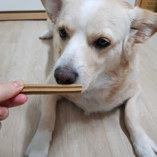 엘리님이 올린 리뷰 사진 1