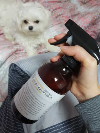 김고양이님이 올린 리뷰 사진 3