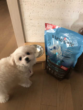 갱티치님이 올린 리뷰 사진 2