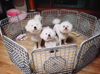 sezziChu님이 올린 리뷰 사진 3