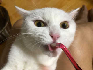 오홍그님이 올린 리뷰 사진 2