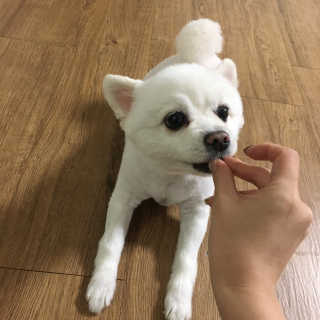 찌님이 올린 리뷰 사진 3