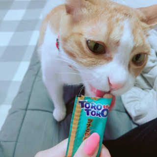 Honeyshop님이 올린 리뷰 사진 2