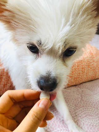 Lily님이 올린 리뷰 사진 1