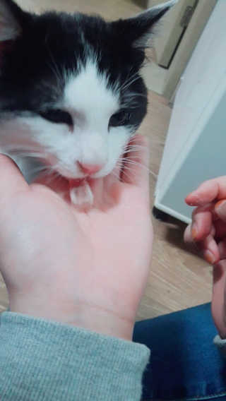 한라봉님이 올린 리뷰 사진 2