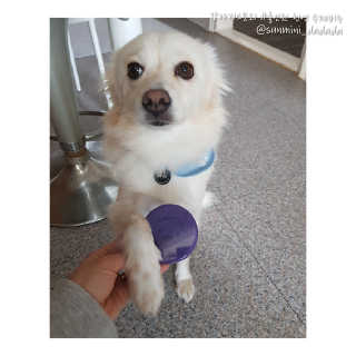 코코민네님이 올린 리뷰 사진 3