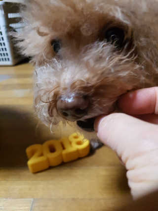 금수니맘님이 올린 리뷰 사진 4