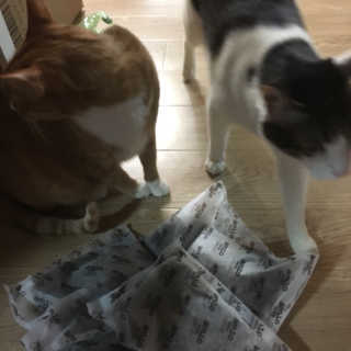 포이로이님이 올린 리뷰 사진 2