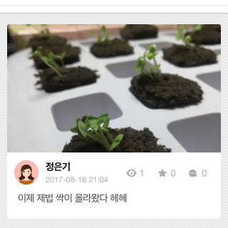 은치치님이 올린 리뷰 사진 3
